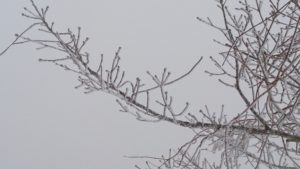 足助病院コラム