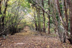 足助病院コラム