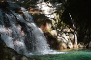 足助病院コラム