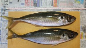 足助病院コラム