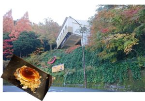 足助病院コラム