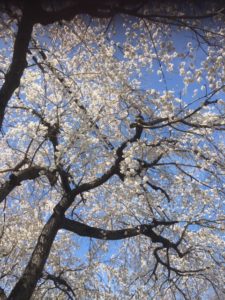 足助病院コラム