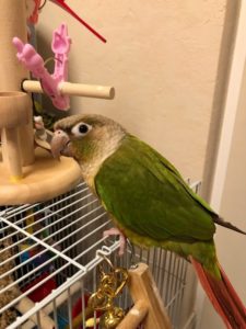 足助病院コラム