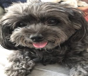 足助病院コラム