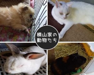 足助病院コラム