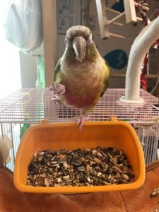 足助病院コラム