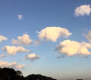 足助病院コラム