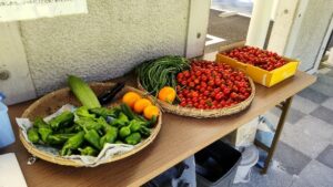 足助病院コラム