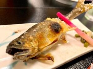 足助病院コラム