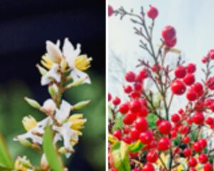 足助病院コラム