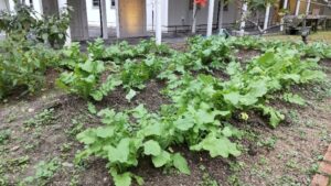 足助病院コラム