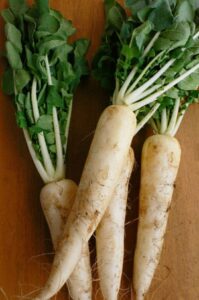 足助病院コラム