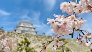 足助病院コラム