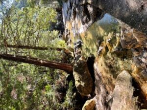 足助病院コラム