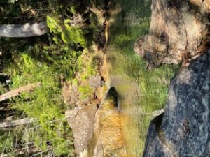 足助病院コラム