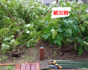 足助病院コラム