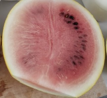 足助病院コラム