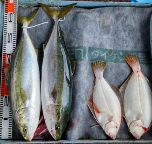 足助病院コラム