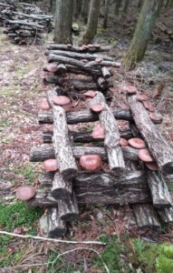 足助病院コラム