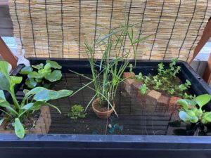 足助病院コラム