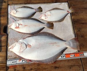 足助病院コラム