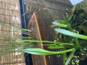 足助病院コラム