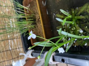 足助病院コラム