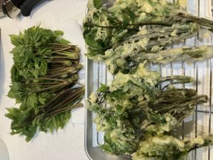 足助病院コラム